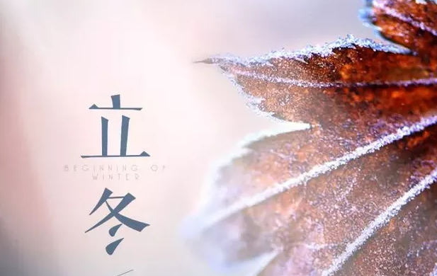 立冬已至，夏秋已逝